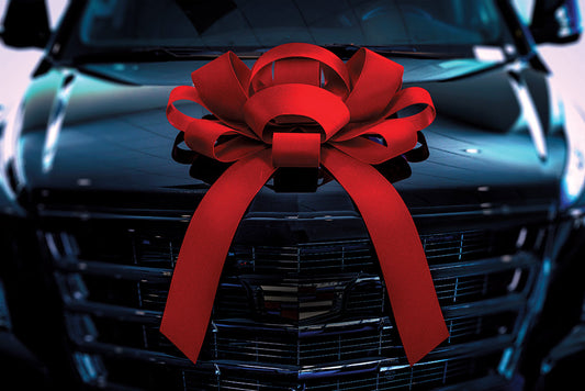 30" Velvet Car Bow