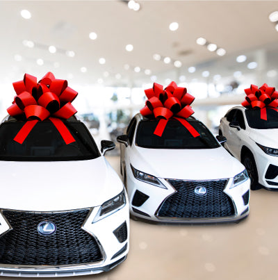 50" Giant Car Bow